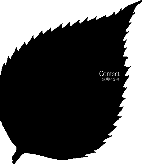 bg_contact01
