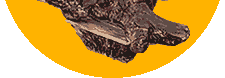 stump_bt03