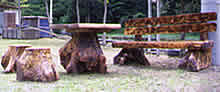 stump_p01