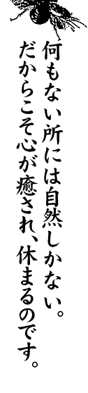 �����Ȃ����R�B�����炱���l�ɕK�v�Ȃ��̂����܂��B