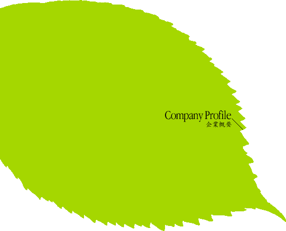bg_profile01