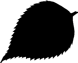 bg_profile02