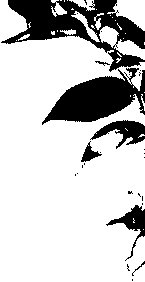 company profile