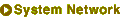 System Network